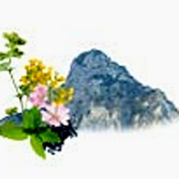 Vonná esence alpské bylinky